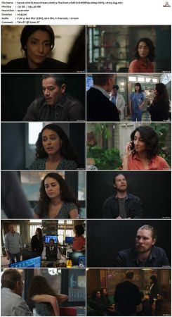 NCIS New Orleans S06 WEBRip 1080p DDP5 1 H265-d3g