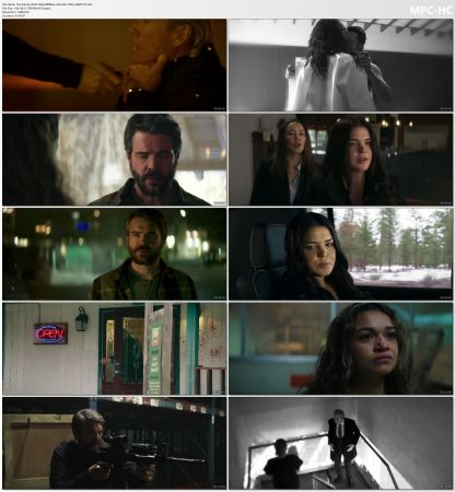 The Painter 2024 720p WEBRip x265 AAC-SSN