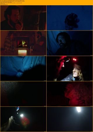 Arctic Hollow 2024 1080p WEB-DL DDP2.0 H264-AOC
