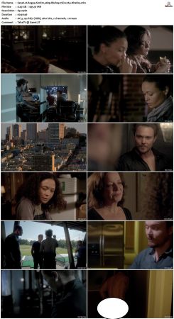 Rogue S02 480p BluRay x264-NhaNc3