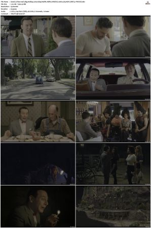 Pee-wees Big Holiday 2016 1080p Netflix HDR10 WEB-DL 10bit x265 HEVC DDP 5.1-PHOCiS