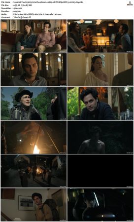You S03 1080p NF WEBRip DDP 5 1 x265-iVy