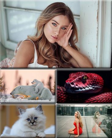 Computer Desktop Wallpapers Collection. Part (2975)