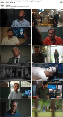NCIS New Orleans S06 WEBRip 1080p DDP5 1 H265-d3g