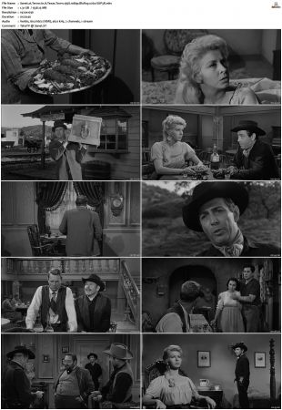 Terror In A Texas Town 1958 1080p BluRay x264-SUP3R