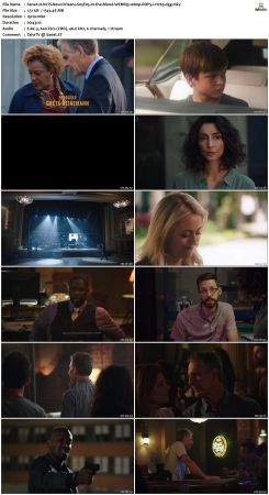 NCIS New Orleans S05 WEBRip 1080p DDP5 1 H265-d3g