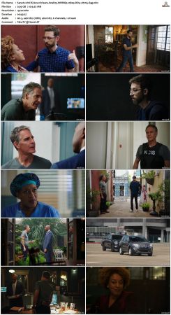 NCIS New Orleans S04 WEBRip 1080p DD5 1 H265-d3g