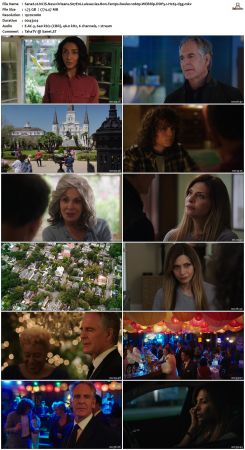 NCIS New Orleans S07 WEBRip 1080p DDP5 1 H265-d3g
