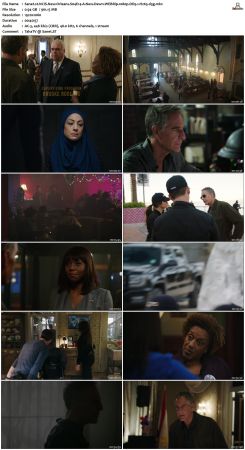 NCIS New Orleans S04 WEBRip 1080p DD5 1 H265-d3g