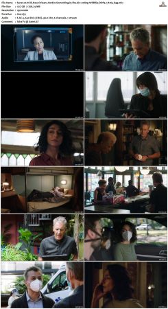 NCIS New Orleans S07 WEBRip 1080p DDP5 1 H265-d3g