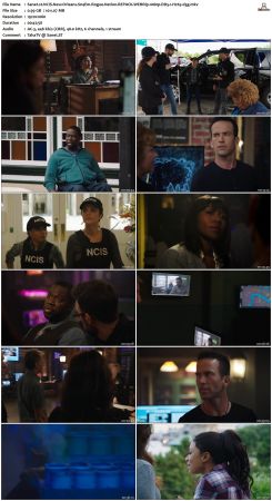 NCIS New Orleans S04 WEBRip 1080p DD5 1 H265-d3g