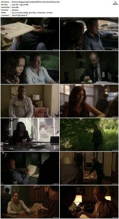 Rogue S03 480p WEB DL nSD x264-NhaNc3