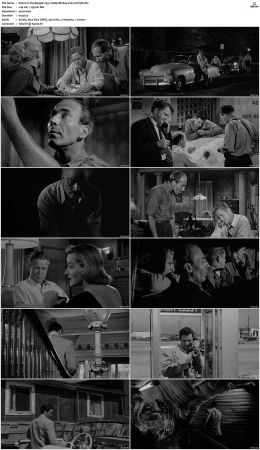 The Burglar 1957 1080p BluRay x264-SUP3R