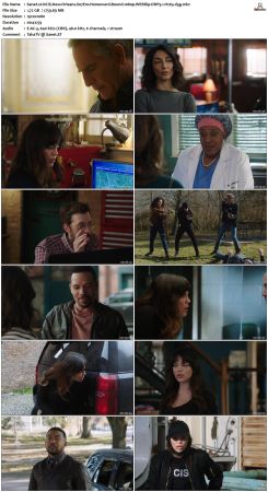 NCIS New Orleans S07 WEBRip 1080p DDP5 1 H265-d3g