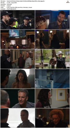 NCIS New Orleans S05 WEBRip 1080p DDP5 1 H265-d3g