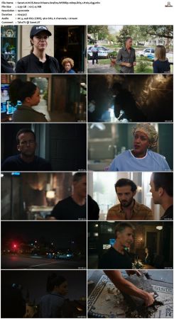 NCIS New Orleans S04 WEBRip 1080p DD5 1 H265-d3g