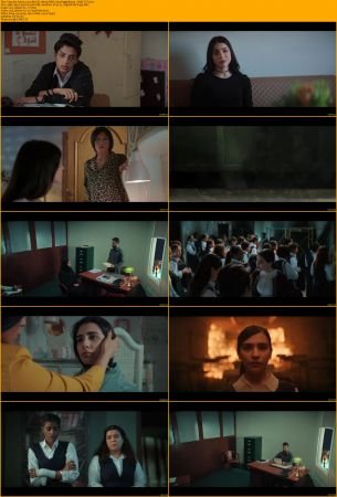 From the Ashes 2024 MULTI 1080p WEB x264-HiggsBoson
