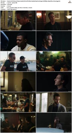 NCIS New Orleans S03 WEBRip 1080p DD5 1 H265-d3g