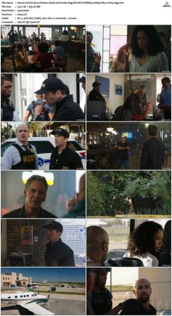 NCIS New Orleans S04 WEBRip 1080p DD5 1 H265-d3g