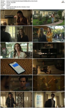 You S03 1080p NF WEBRip DDP 5 1 x265-iVy