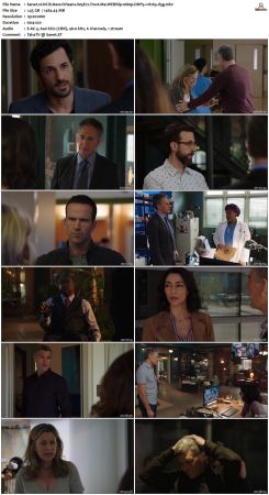NCIS New Orleans S05 WEBRip 1080p DDP5 1 H265-d3g