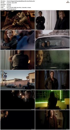 Rogue S02 480p BluRay nSD x264-NhaNc3