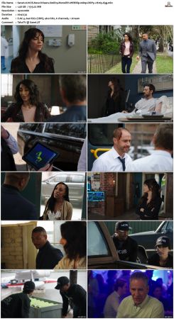 NCIS New Orleans S06 WEBRip 1080p DDP5 1 H265-d3g