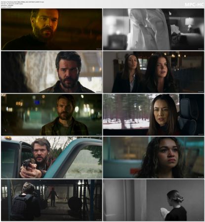 The Painter 2024 1080p WEBRip x265-KONTRAST