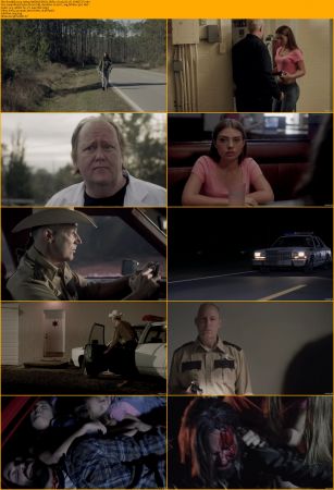 Roadkill 2024 1080p AMZN WEB-DL DDP5.1 H264-FLUX