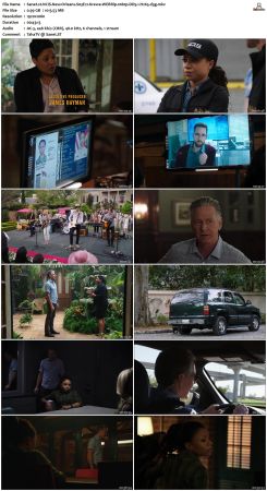 NCIS New Orleans S03 WEBRip 1080p DD5 1 H265-d3g