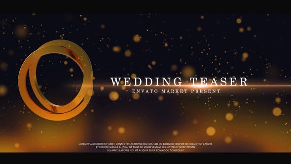 Videohive - Wedding Teaser - 50683888