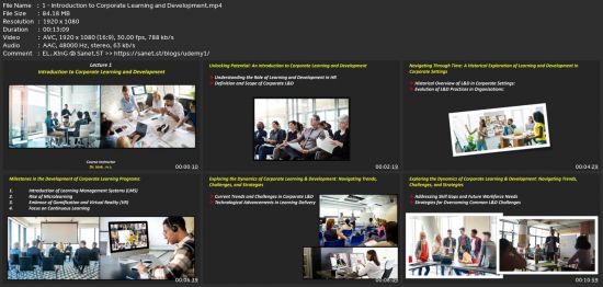 Human Resources : Corporate Learning And Development (L&amp;D)