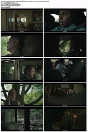 The Outsider 2020 S01 1080p BluRay x265-DH