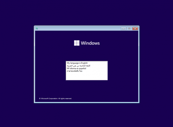 Windows 11 22H2 Pro 22621.3155 (No TPM Required) Preactivated Multilingual