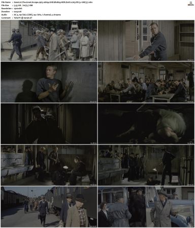 The Great Escape 1963 1080p UHD BluRay HDR DoVi x265 DD 5.1-SM737