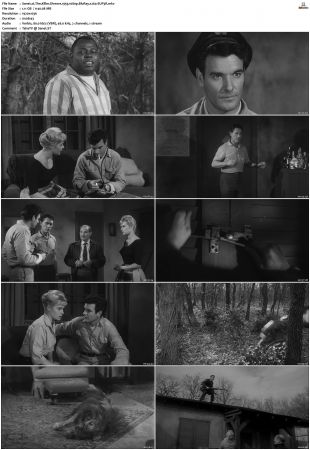The Killer Shrews 1959 1080p BluRay x264-SUP3R