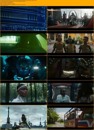 Black Panther Wakanda Forever 2022 IMAX Hybrid 1080p BluRay DDP7.1 x264-ZoroSenpai