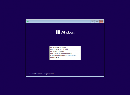 Windows 11 23H2 Build 22631.3155 9in1 (No TPM Required) Preactivated Multilingual