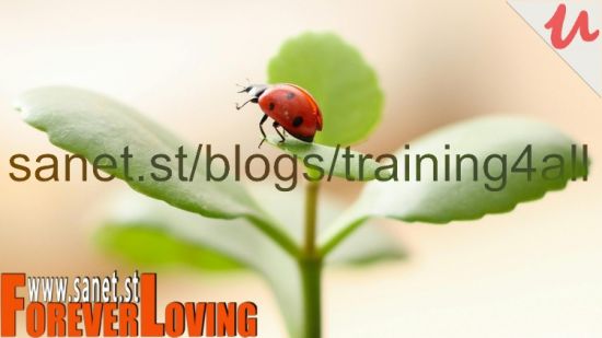 Bootstrapping, Business Without Money, Investments Getting