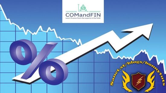 Financial Accounting &amp; Reporting - Basics to Advance