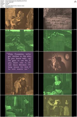 Timothys Quest 1922 1080p BluRay x264-OFT