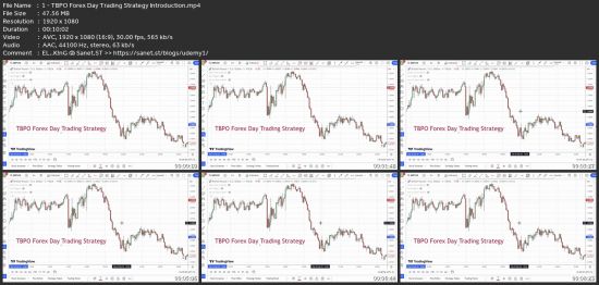 Tbpo Forex Day Trading Strategy - Solid Day Trading Approach
