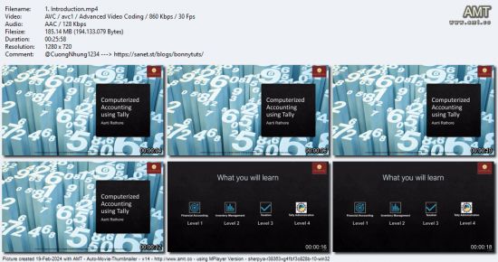 Mastering Financial Accounting using Tally Prime