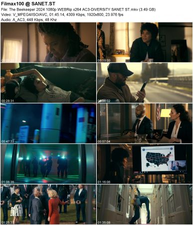 The Beekeeper 2024 1080p WEBRip x264 AC3-DiVERSiTY