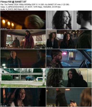 The Painter 2024 1080p WEBRip DDP5.1 H265-iVy