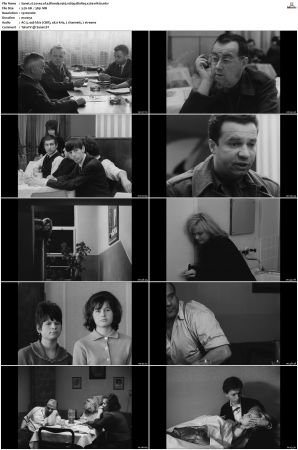 Loves of a Blonde 1965 1080p BluRay x264-nikt0