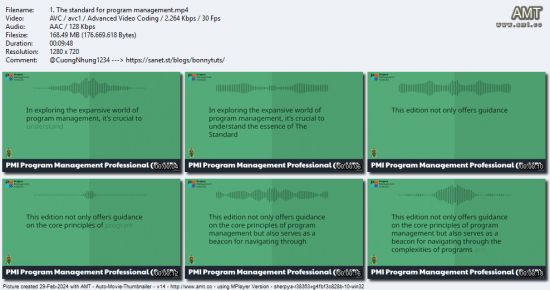 Program Management Professional (PgMP)