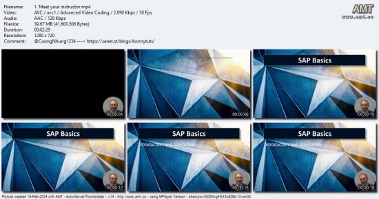 SAP Basics : Introduction and Navigation