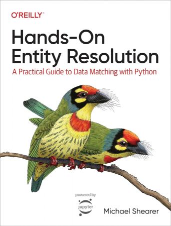 Hands-On Entity Resolution: A Practical Guide to Data Matching with Python (True PDF)