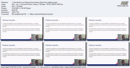 Trading Forex - Trader avec les figures harmoniques